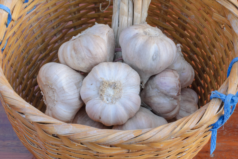 吃不完的大蒜，保存原来如此简单，给你支一招，不长芽不干瘪