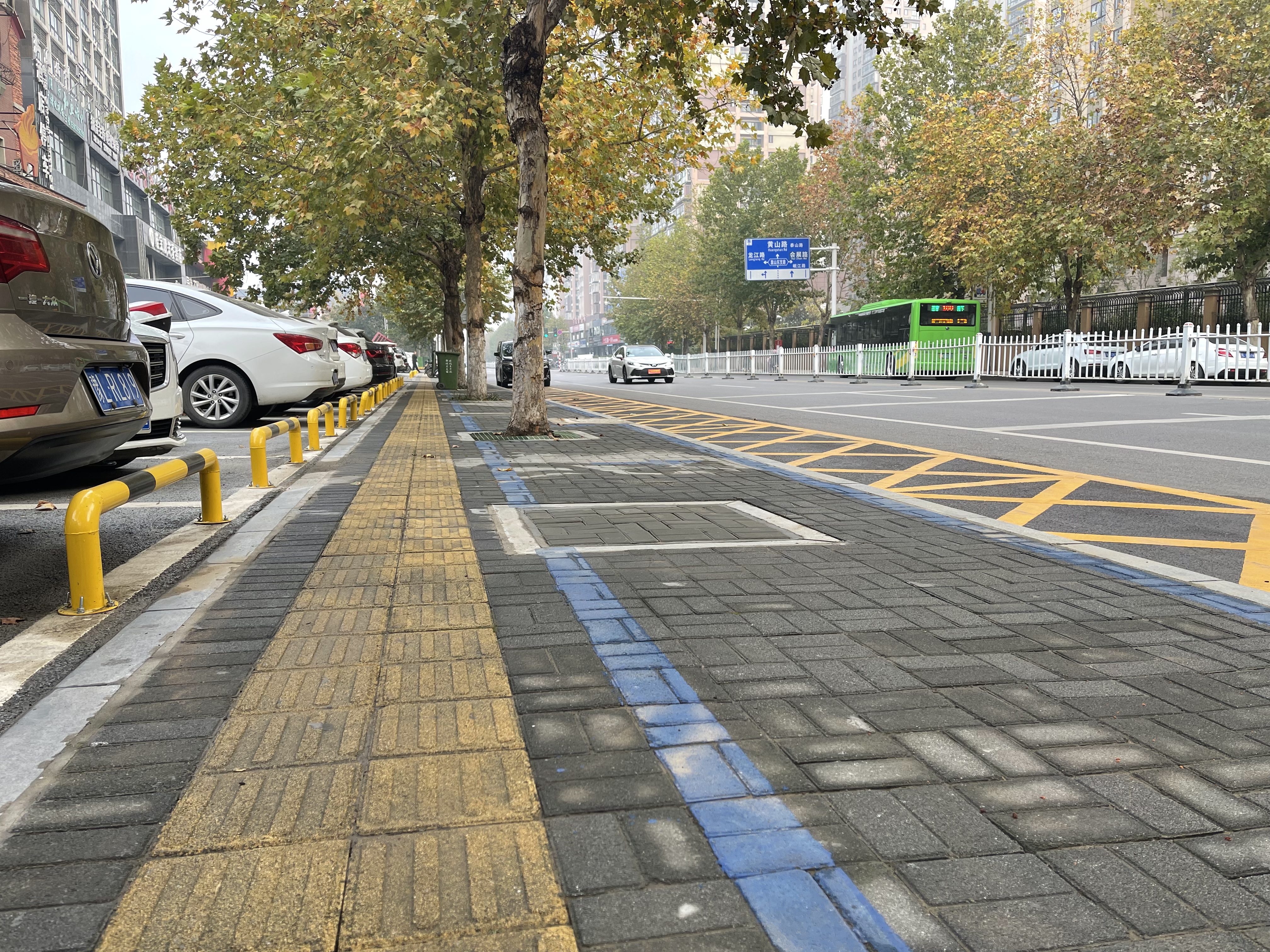 漯河： 115棵石楠 “搬家”添新“风景”