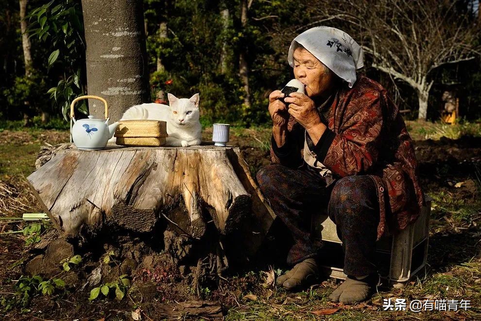 谢谢，福丸！再见，福丸