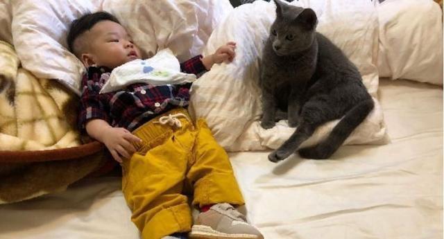 貓咪霸佔了嬰兒椅，還把小主人擠到了角落裡：誰還不是個寶寶？
