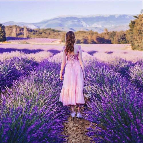 法语激励的美文!