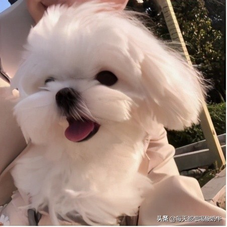 送什么礼物可以让女孩子开心（能让女朋友开心的礼物）