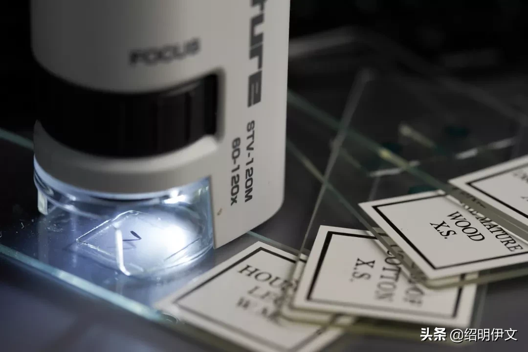 六一节把这两款学习娱乐兼顾的礼物送给孩子，孩子学习优秀又开心