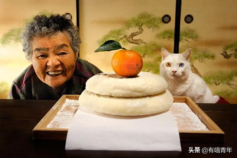谢谢，福丸！再见，福丸