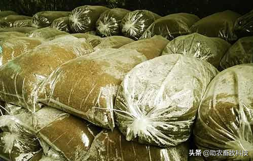 豆渣等糟渣低成本发酵技术，不用添加玉米发酵速度更快营养更高