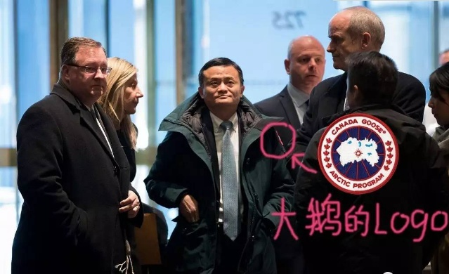 零下20度能让你穿出汗的羽绒服，明星们穿的加拿大鹅什么来头？