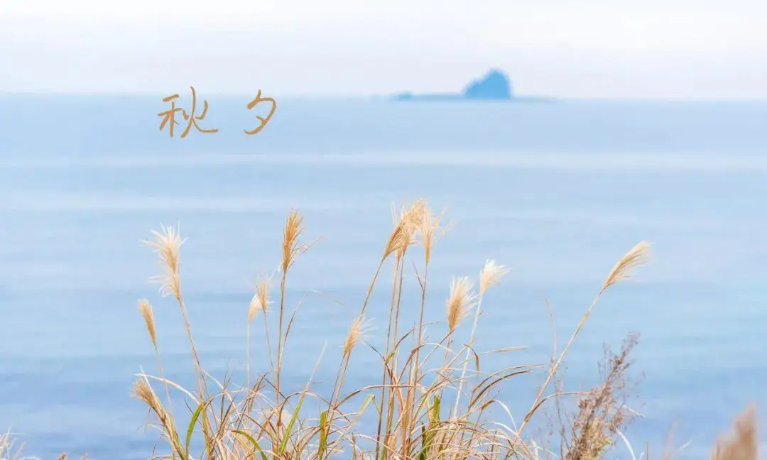 浪漫诗句唯美古诗（12个惊艳千年的浪漫诗句）