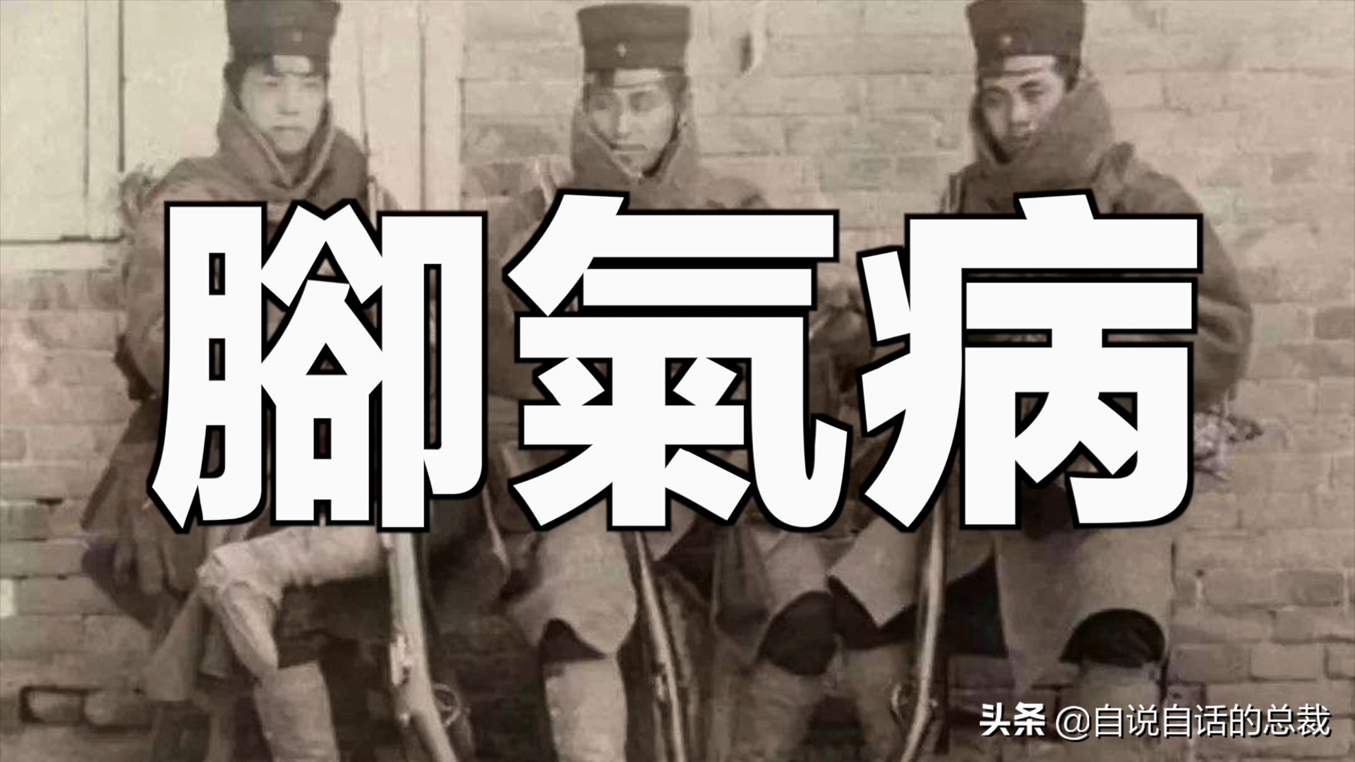 蛤、蚶、蛏、蚝、蚬有什么区别？这是一群美味海怪与人类的故事