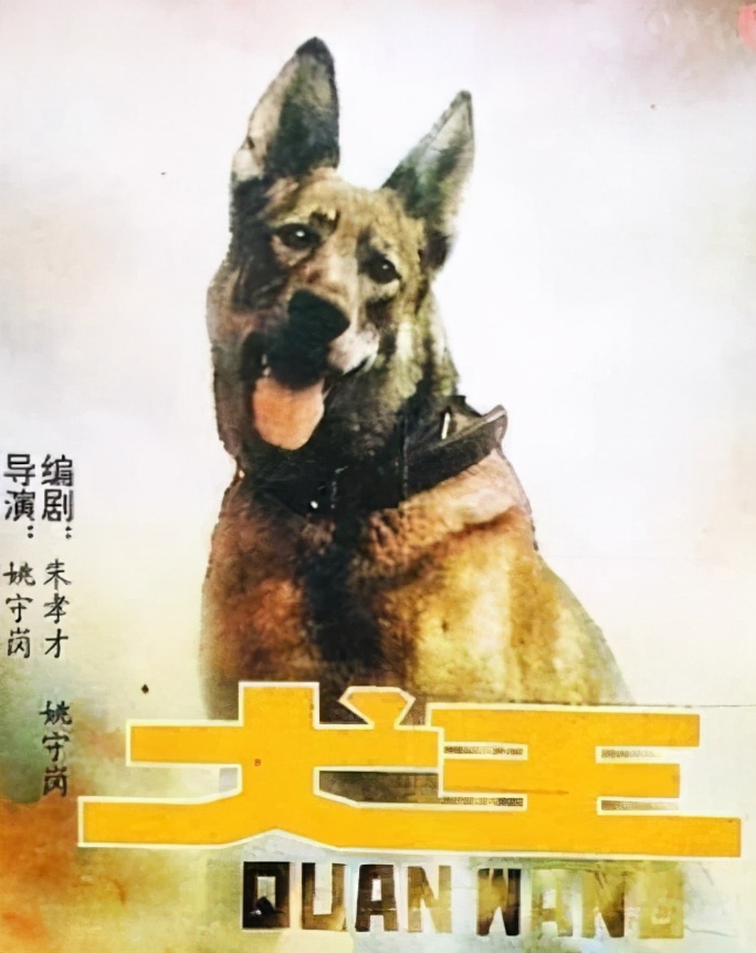 《犬王》導演姚守崗，拍戲炸死軍犬，15年後接受采訪，仍毫無悔意