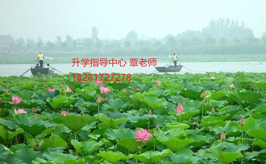 乐山市计算机学校2020招生简章