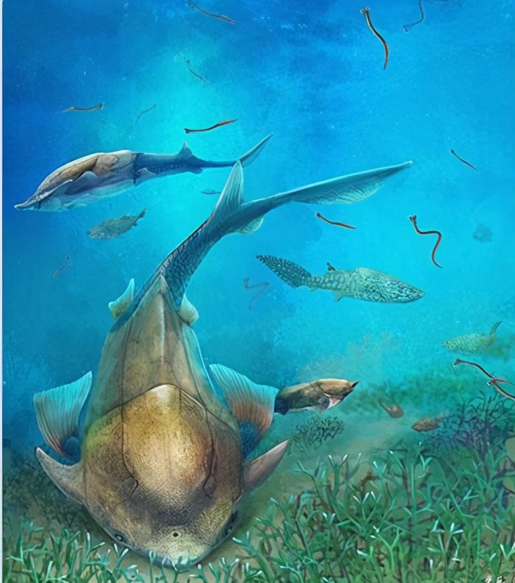 从海洋到陆地生物演化简史