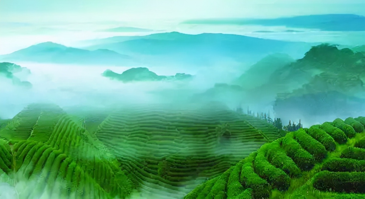 实战总结：文旅项目的脱困之路