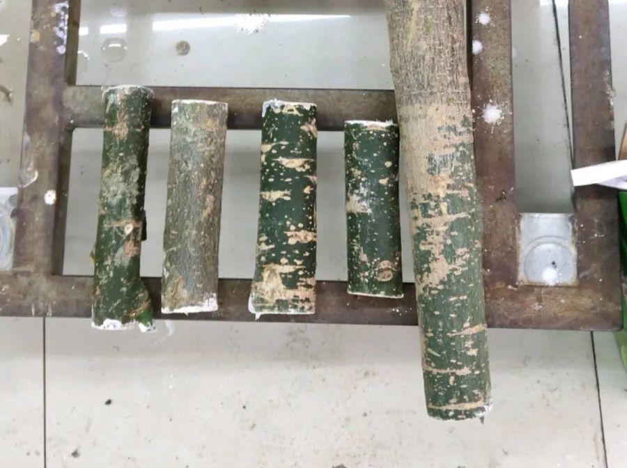 养不活的花,丢水里、干净卫生,3天冒新芽