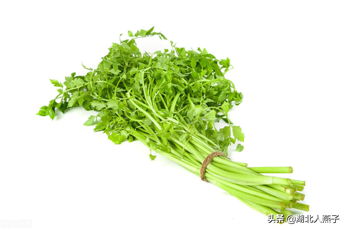 65种野菜图片大全，教你认识不同的野菜和吃法，你想要的野菜都有