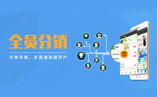 分销系统都有哪些模式？各有哪些利弊？