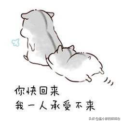 一边大倒苦水，一边人均精英，401到底是好起来了还是大厦将倾？