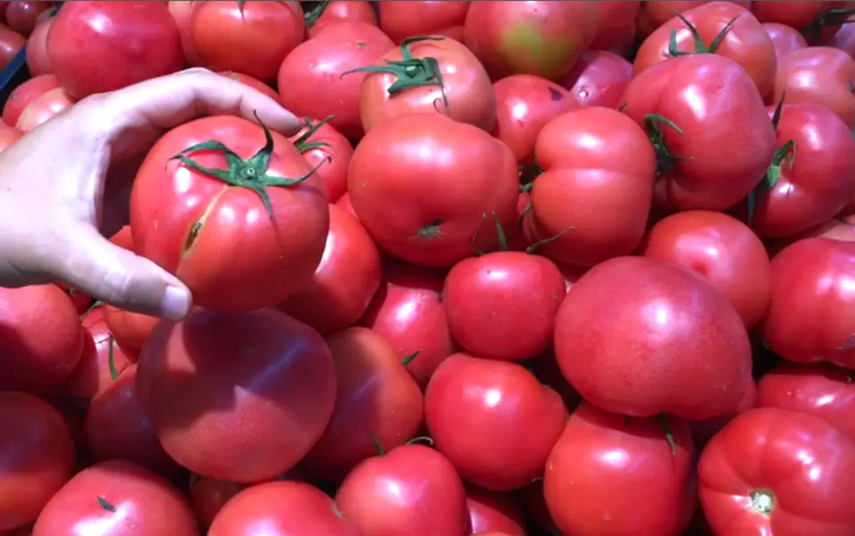 入伏吃什么菜好（适合入伏吃的5种菜）