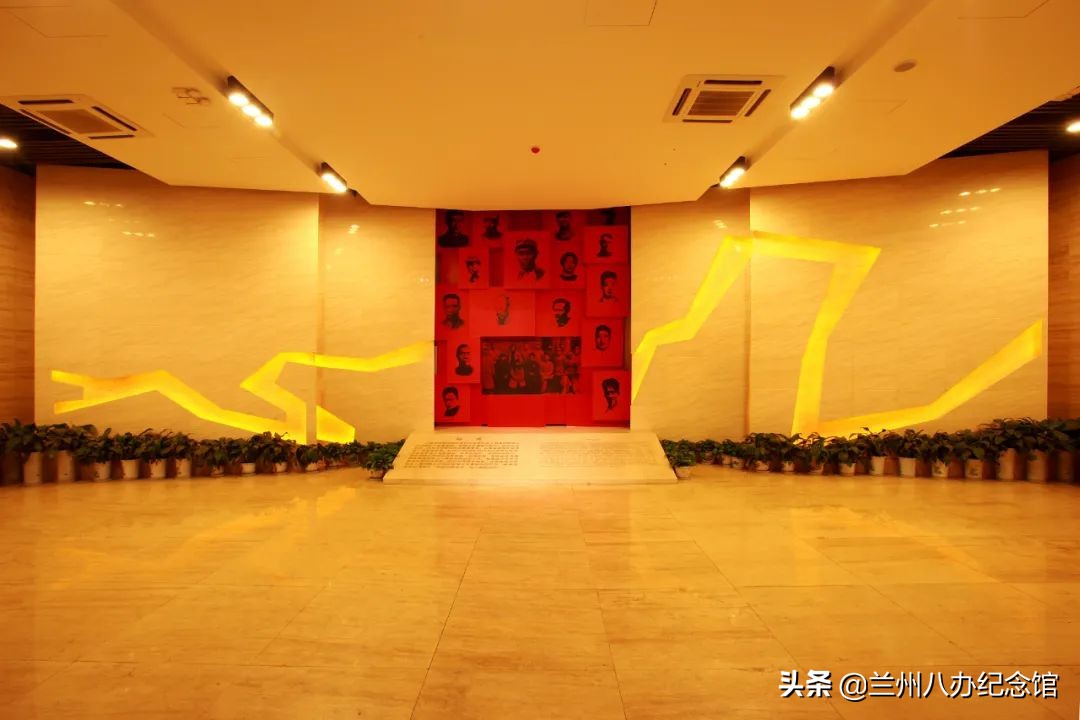 在线观展 