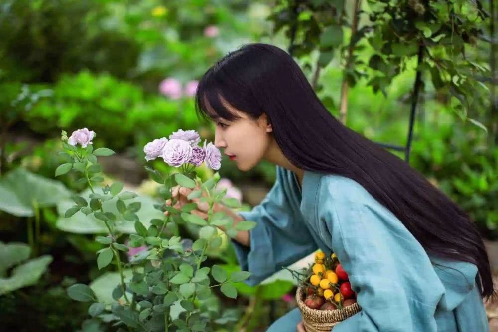 网红李子柒（李佳佳背景资料）怎么停止更新视频,资本手段背后有什么秘密?