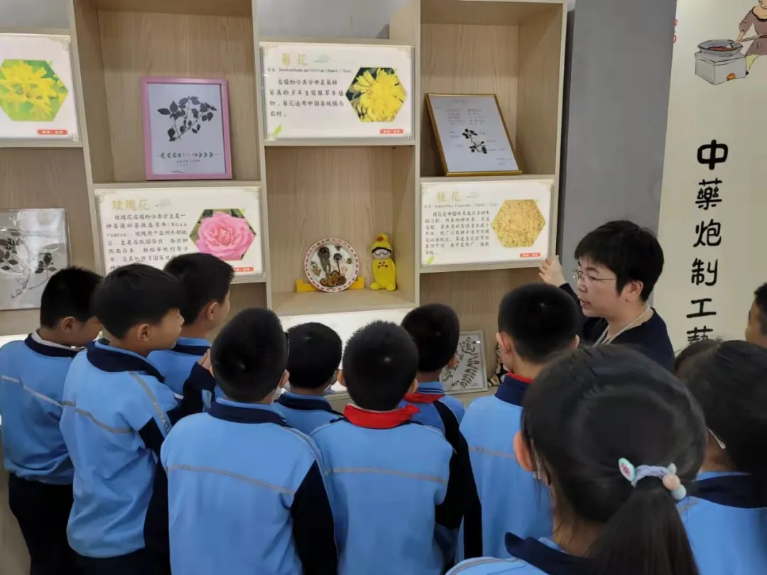 点赞！丰泽这所学校深耕细作，让中医药文化在校园中扎根绽放