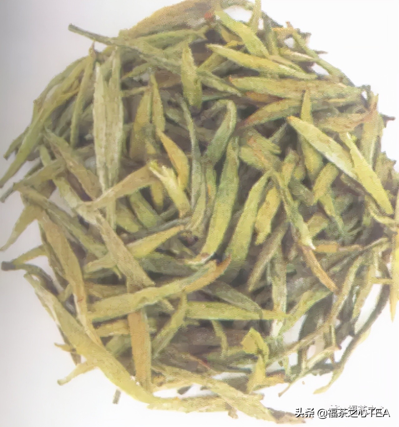 茶百科 | 中國茶葉分類大綱（收藏版）