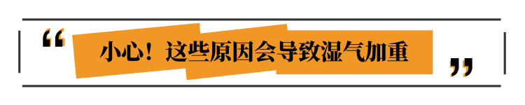 湿气重，健康受连累！中医推荐三个排湿方，简单易上手