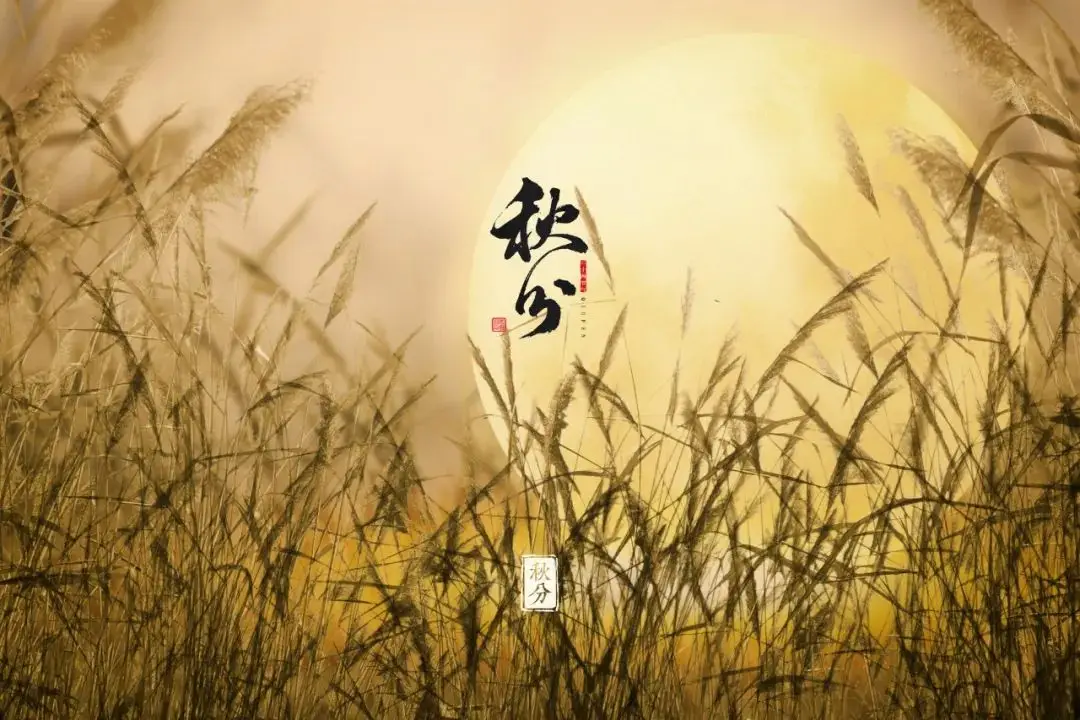 10首最美的秋分诗词，浅遇一季秋，足以醉红尘