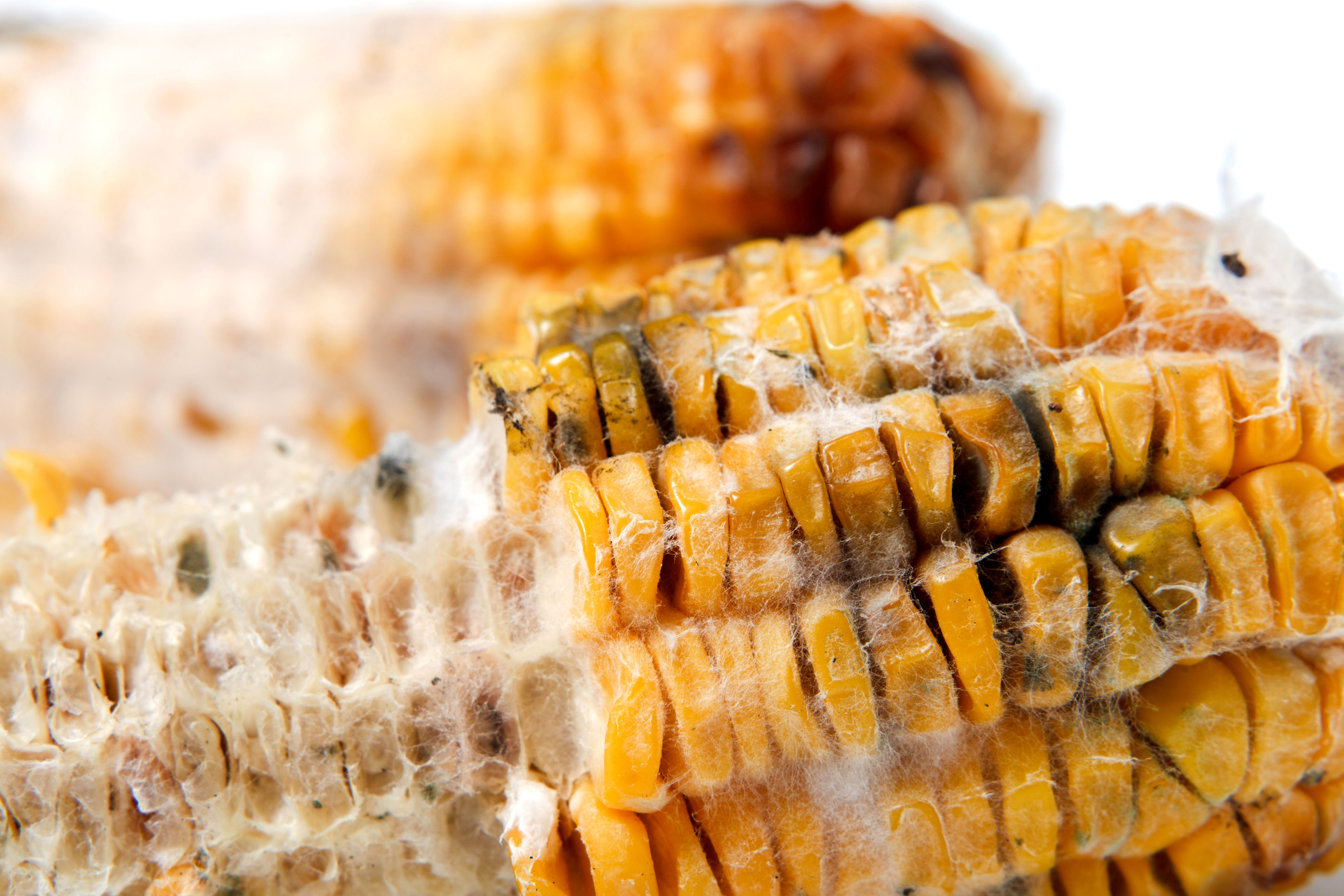 食物中常见3种一类致癌物，长期食用会致细胞癌变，别贪嘴