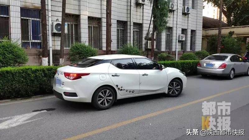 陕西女子毛豆新车网买车，不到一年出故障，4S店一查发现秘密……