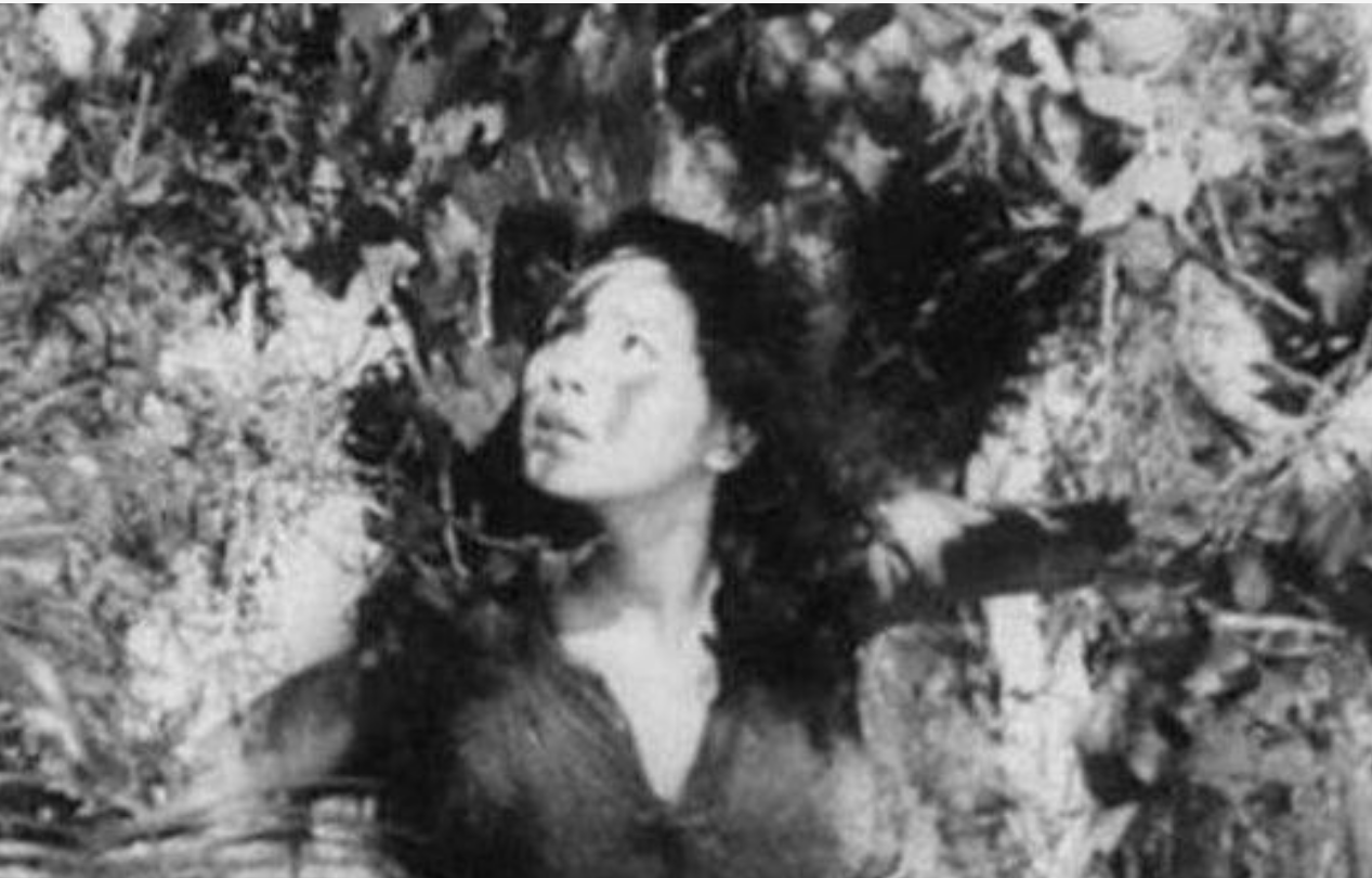1944年日本1女32男流亡荒岛6年，获救时仅剩20人，他们经历了什么