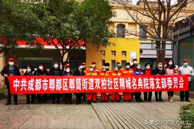 活动回顾丨双柏社区“爱卫运动，有你有我”1月主题党日