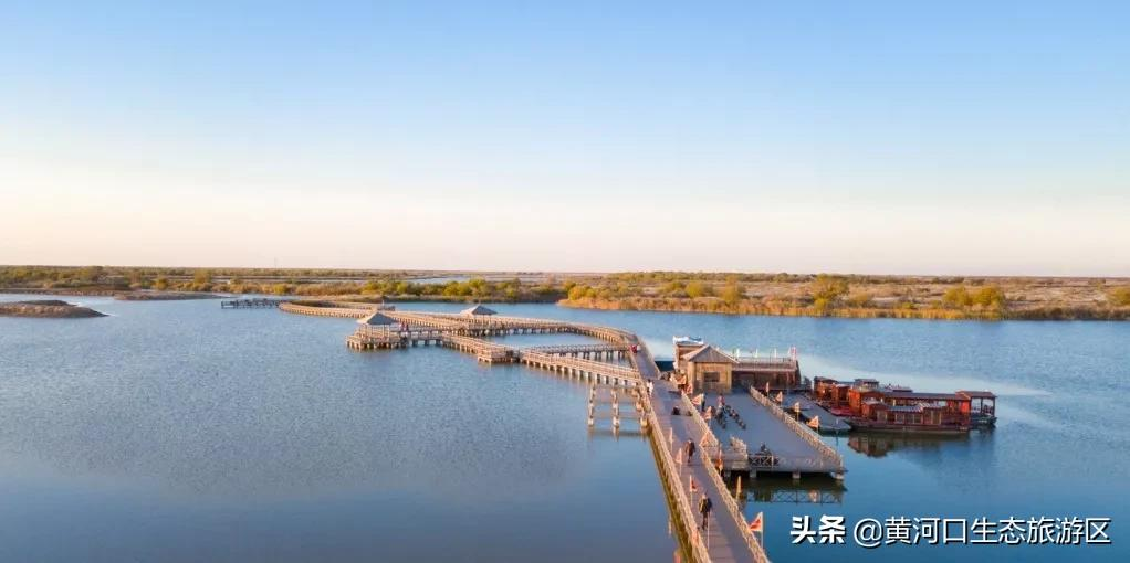 【黄河口生态旅游区】秋思黄河口