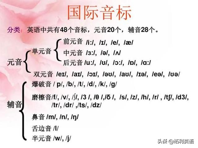 eight音标发音详解：48个英语音标中的准确读法与技巧指南