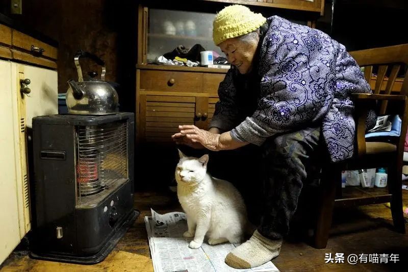 谢谢，福丸！再见，福丸