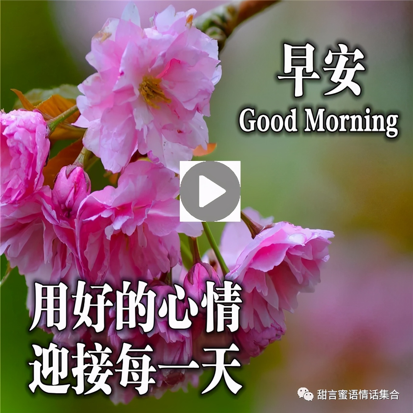 心心念念的早安情话短信