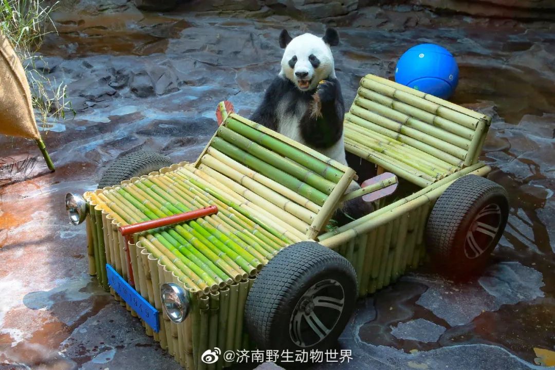 猛男必备礼物（生日礼物 男）