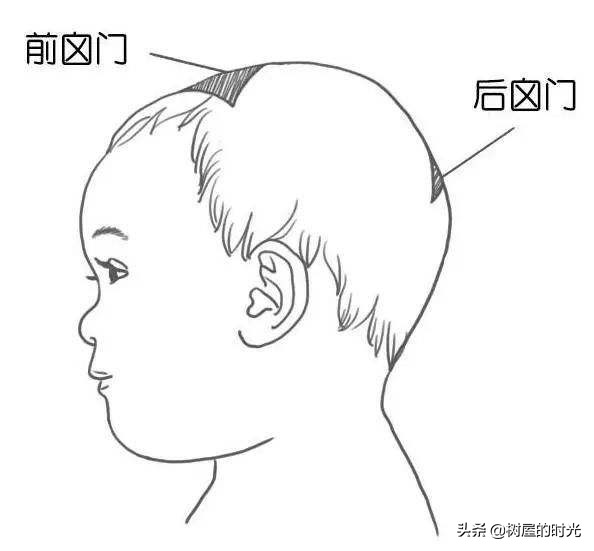 宝宝前囟门什么时候闭合？家长应该怎样护理才合适？