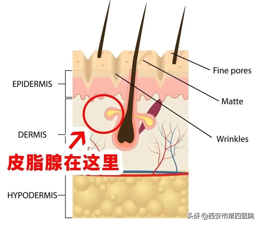 #健康中国行动2030#【变美秘籍】毛孔粗大怎么彻底解决？