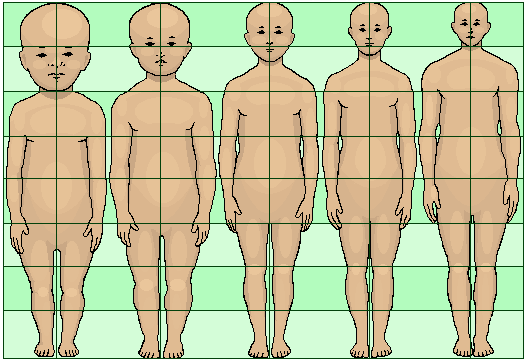 人类进化褪去满身毛发，只留下了头发和局部体毛，究竟是什么原因