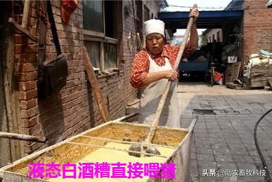 今后只有三種豬場(chǎng)（自有散養(yǎng)豬場(chǎng)）是可以長(zhǎng)期保持穩(wěn)定盈利的