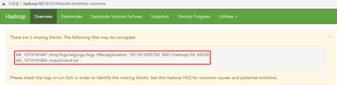 Hadoop实战经验之HDFS故障排除