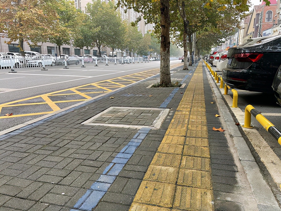 漯河： 115棵石楠 “搬家”添新“风景”