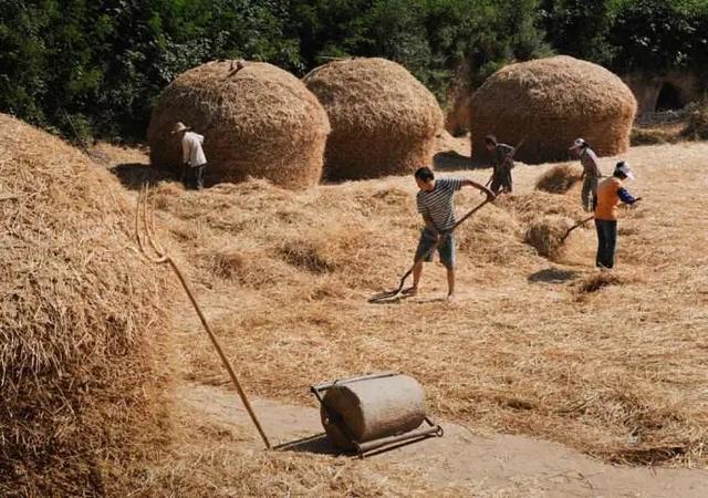 自律始于初心 成于坚守 终于结果--记我的减肥之路