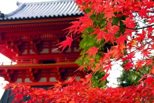 日本语言学校入学时间不同,区别竟然那么大