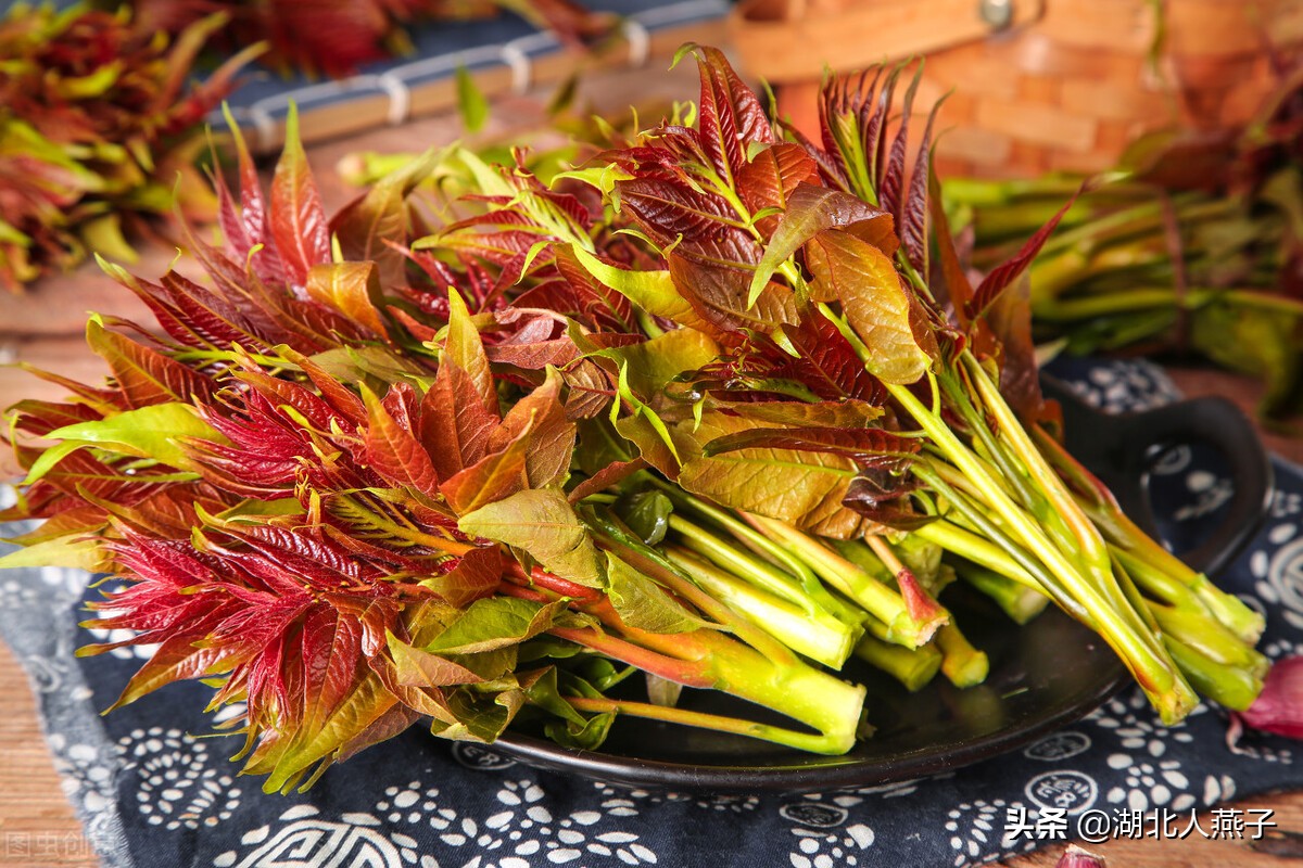 65种野菜图片大全，教你认识不同的野菜和吃法，你想要的野菜都有