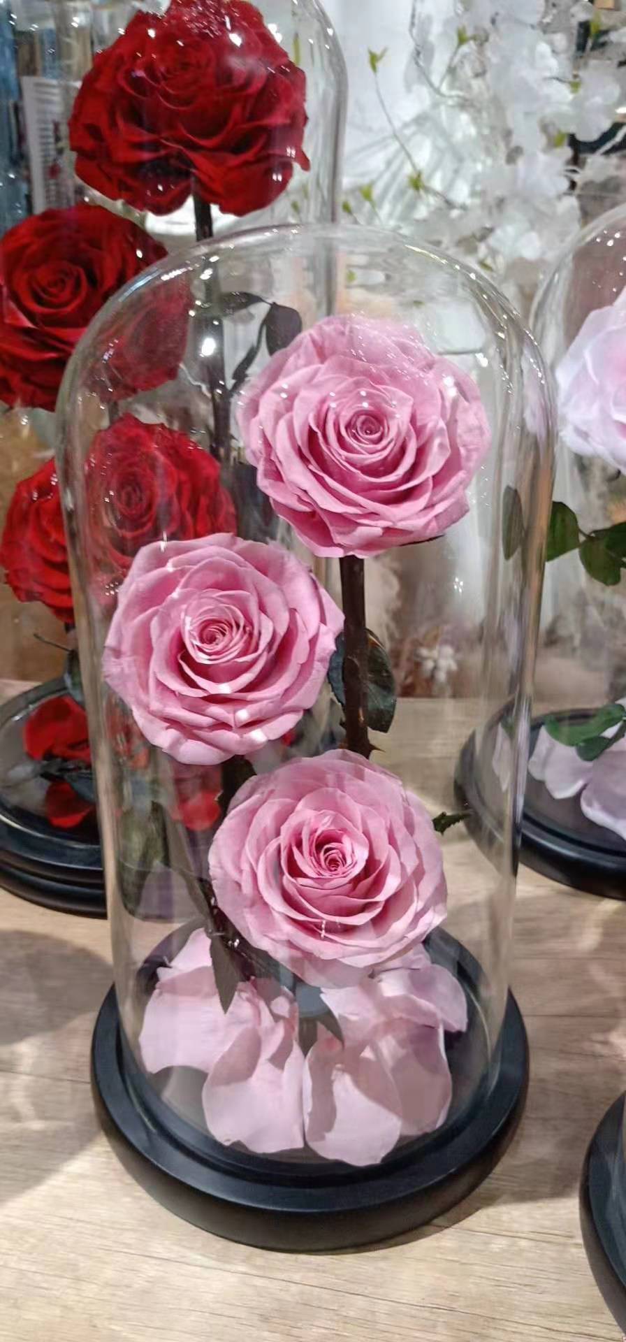 什么是永生花?(科普)
