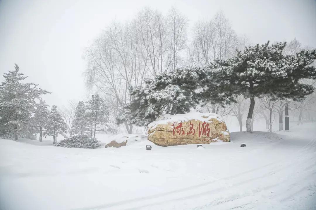 沈阳城市学院值得上吗（沈阳城市学院口碑）(图71)