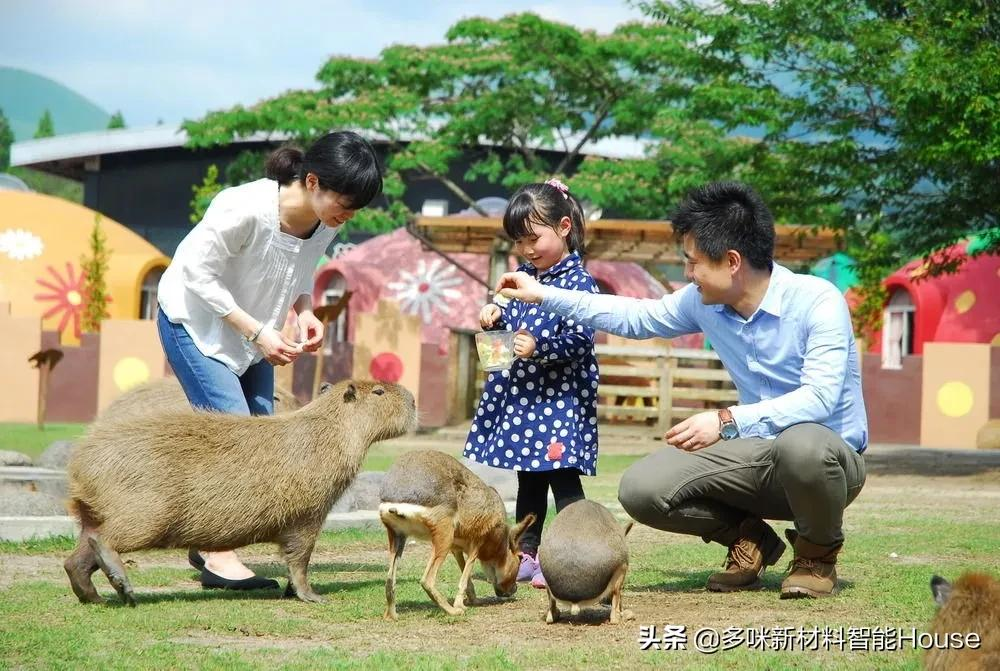 “景区+民宿”双模式，开启旅游新高度