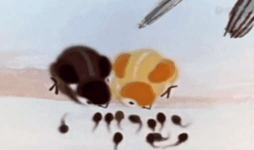 为什么中国不再拍《大闹天宫》了？宫崎骏访问上海后，极度失望