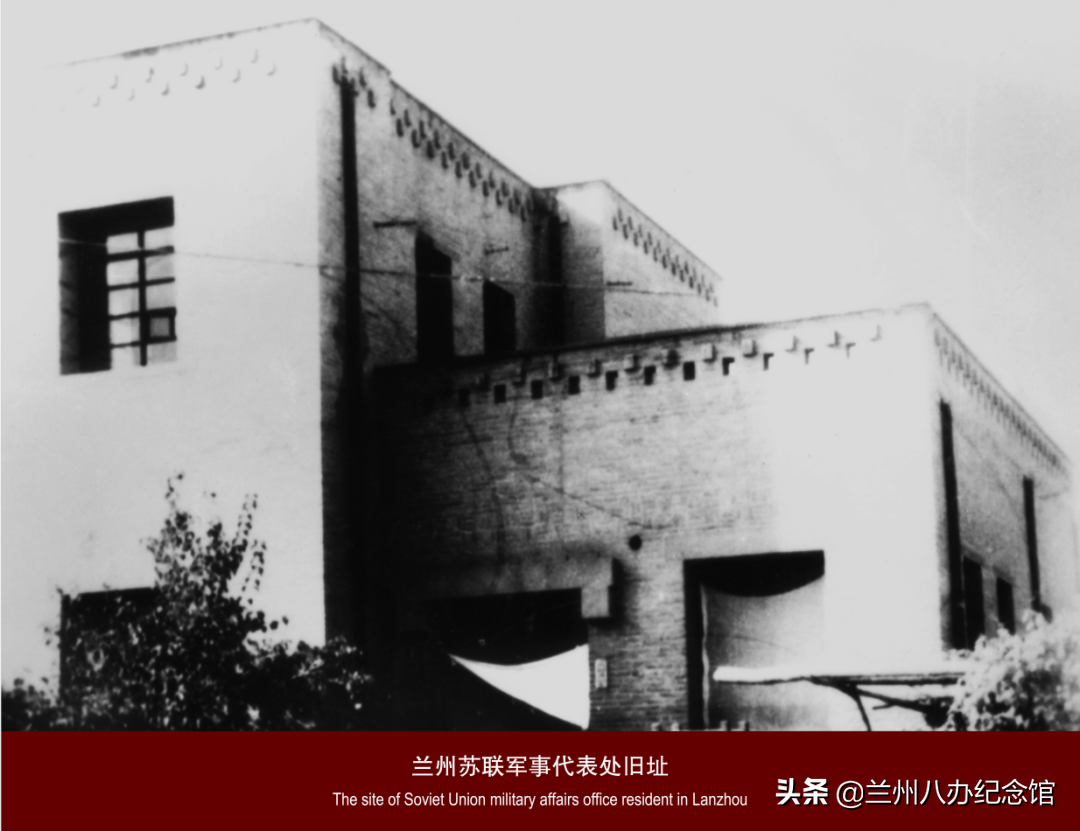 在线观展 